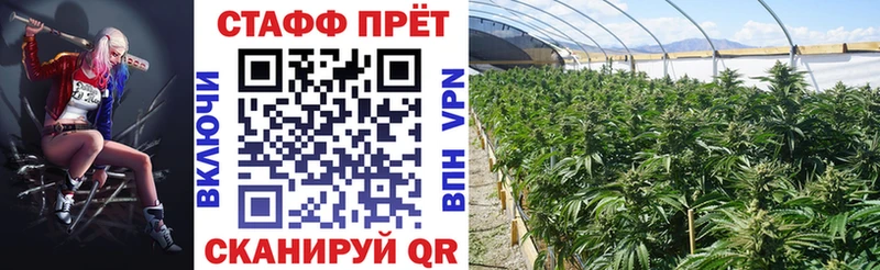 Наркошоп купить Марихуана APVP КОКАИН ГАШ Меф мяу мяу Дно