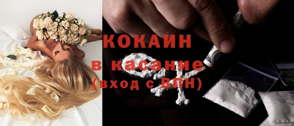 молекула духа Богданович
