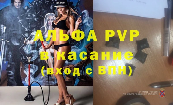 крисы Белокуриха