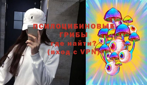 крисы Богородск