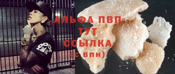 молекула духа Богданович