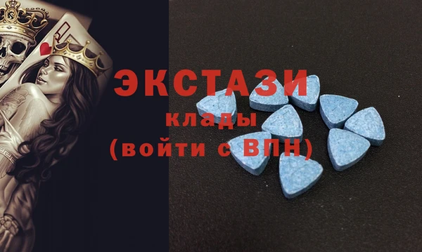 молекула духа Богданович