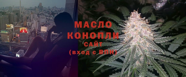 крисы Богородск