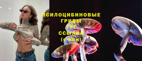 метадон Богородицк