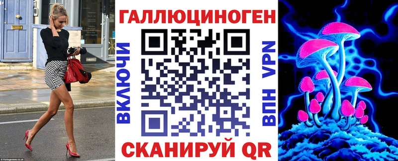 Галлюциногенные грибы Psilocybine cubensis  Купить где  Дно 