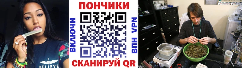 Бошки марихуана Bruce Banner  Купить  Дно 